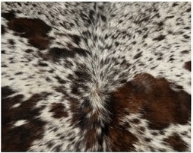 Genuine Salt & Pepper Cowhide Rug | Dark Brown & Off-White Speckled Cowskin Area Rug | Rustic Modern Western Leather Carpet