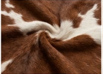 Genuine Chestnut Brown & White Cowhide Rug | Natural Spotted Warm Brown Cowskin Area Rug | Rustic Leather Carpet for Living Room