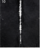 Authentic Jet Black & White Speckled Spine Cowhide Area Rug – Genuine Leather Accent Mat
