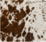 Genuine Chestnut Brown Speckled Cowhide Rug | Salt and Pepper Brown Cowskin Area Rug | Natural Tricolor Leather Carpet for Living Room
