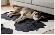 Genuine Black and White Cowhide Rug | Natural Spotted Cow Skin Area Rug | Classic Holstein Pattern Leather Carpet for Living Room