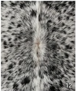 Genuine Black Peppered Speckled Cowhide Rug | Natural Salt and Pepper Cowskin Area Rug | Rustic Modern Western Decor Carpet for Living Room