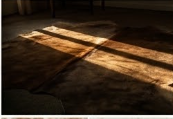 Authentic Golden Tan & White Salt Speckled Cowhide Area Rug – Genuine Natural Leather Accent Mat