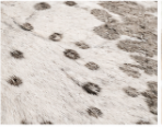 White & Silver Speckled Cowhide Rug – Genuine Hair On Hide Rug, Natural Cow Skin Area Rug, Modern Farmhouse Decor
