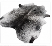 Natural Black and White Speckled Cowhide Rug, Genuine Salt-and-Pepper Area Mat
