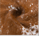 Brown and White Salt & Pepper Cowhide Rug - Genuine Speckled Leather Area Rug