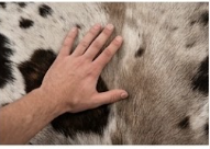 Genuine Natural Cowhide Rug | Tricolor Dark Brown & White Speckled Cow Hide Leather Floor Mat | Salt and Pepper Cowskin Area Rug