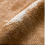 Genuine Honey Cognac & Off-White Cowhide Rug | Natural Caramel Brown Leather Area Rug | Warm Southwestern Western Cowskin Carpet for Living Room
