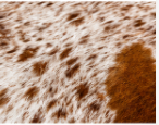 Brown & White Speckled Cowhide Rug | Genuine Natural Cow Skin Rug | Western Farmhouse Area Rug | Real Leather Hide Carpet