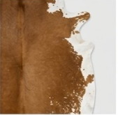 Genuine Cognac Brown & White Cowhide Rug | Natural Light Chestnut Leather Area Rug | White Rimmed Western Cowskin Carpet for Living Room