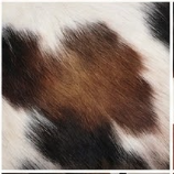 Genuine Dark Brown & White Spotted Cowhide Rug | Natural Brown Holstein Cowskin Area Rug | Rustic Modern Farmhouse Decor Carpet