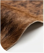 Authentic Chestnut Brown & White Spine Cowhide Area Rug – Genuine Natural Leather Accent Mat