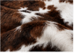 Brown & White Cowhide Rug – Genuine Natural Cow Skin Area Rug, Western Farmhouse Decor, Real Hair On Hide Rug, Living Room Accent Rug