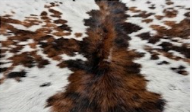 Genuine Tricolor Cognac & Black Speckled Cowhide Rug | Honey Brown & White Cowskin Area Rug | Rustic Modern Western Leather Carpet