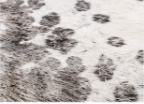 White & Silver Speckled Cowhide Rug – Genuine Hair On Hide Rug, Natural Cow Skin Area Rug, Modern Farmhouse Decor