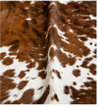 Authentic Chestnut & White Speckled Cowhide Area Rug – Genuine Tricolor Leather Accent Mat