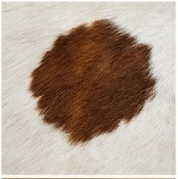 Brown and White Speckled Cowhide Rug - Genuine Leather Area Rug