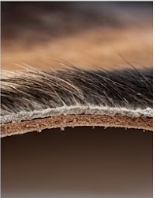 Genuine Tricolor Cowhide Rug | Black Chestnut Brown & White Natural Leather Area Rug | Exotic Salt and Pepper Cow Skin Floor Decor
