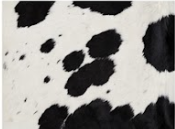 Genuine Black and White Cowhide Rug | Natural Spotted Cow Skin Area Rug | Classic Holstein Pattern Leather Carpet for Living Room