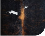 Genuine Jet Black Cowhide Rug | White Peppered Trim & Brown Spine Cowskin Area Rug | Modern Western Leather Carpet