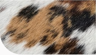 Genuine Tricolor Cognac & Black Speckled Cowhide Rug | Honey Brown & White Cowskin Area Rug | Rustic Modern Western Leather Carpet