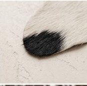 Authentic Dark Chocolate Brown & White Cowhide Area Rug – Genuine Natural Leather Accent Mat