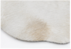 White Cowhide Rug Genuine Hair On Hide Rug Natural Ivory Cow Skin Rug Farmhouse Western Area Rug Minimalist Home Decor