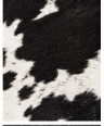 Authentic Black and White Salt & Pepper Cowhide Area Rug – Genuine Speckled Leather Accent Mat