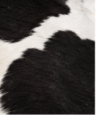 Authentic Classic Black and White Spotted Cowhide Area Rug – Genuine Holstein Leather Accent Mat