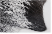 Natural Black and White Speckled Cowhide Rug, Genuine Salt-and-Pepper Area Mat