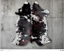 Tricolor Black, Brown & White Cowhide Rug - Genuine Patchwork Natural Leather Area Rug