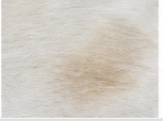 White Cowhide Rug Genuine Hair On Hide Rug Natural Ivory Cow Skin Rug Farmhouse Western Area Rug Minimalist Home Decor