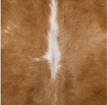 Genuine Honey Cognac & Off-White Cowhide Rug | Natural Caramel Brown Leather Area Rug | Warm Southwestern Western Cowskin Carpet for Living Room