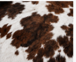 Brown & White Cowhide Rug – Genuine Natural Cow Skin Area Rug, Western Farmhouse Decor, Real Hair On Hide Rug, Living Room Accent Rug