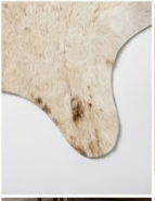 Genuine Champagne Beige Cowhide Rug | Natural Light Tan Brindle Cowskin Area Rug | Soft Cream Leather Carpet for Living Room