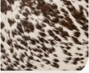 Authentic Dark Chocolate Brown & White Cowhide Area Rug – Genuine Natural Leather Accent Mat