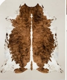 Authentic Chestnut Brown & White Spine Cowhide Area Rug – Genuine Natural Leather Accent Mat