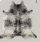 Black & Grey Salt and Pepper Cowhide Rug - Genuine Speckled Leather Area Rug
