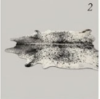 Black & Grey Salt and Pepper Cowhide Rug - Genuine Speckled Leather Area Rug
