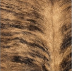 Natural Brindle Brown and Black Cowhide Rug, Genuine Hair-on-Hide Area Mat