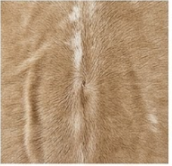 Natural Tan and White Cowhide Rug, Genuine Hair-on-Hide Floor Mat