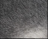 Natural Dark Grey Cowhide Rug - Luxury Genuine Leather Area Rug