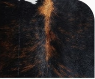 Genuine Jet Black Cowhide Rug | White Peppered Trim & Brown Spine Cowskin Area Rug | Modern Western Leather Carpet