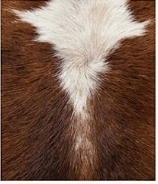 Genuine Chestnut Brown & White Cowhide Rug | Natural Tri-Color Spotted Cowskin Area Rug | Rustic Leather Carpet for Living Room