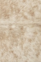 Genuine Champagne Beige Cowhide Rug | Natural Light Tan Brindle Cowskin Area Rug | Soft Cream Leather Carpet for Living Room