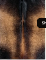 Genuine Tricolor Cowhide Rug | Black Chestnut Brown & White Natural Leather Area Rug | Exotic Salt and Pepper Cow Skin Floor Decor