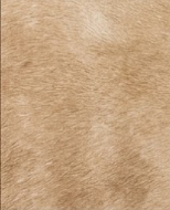 Genuine Champagne Beige & White Cowhide Rug | Natural Light Tan Spotted Cowskin Area Rug | Soft Cream Leather Carpet for Living Room