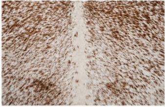 Natural Brown and White Speckled Cowhide Rug, Genuine Hair-on-Hide Area Mat