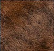 Authentic Dark Chocolate Brown & White Cowhide Area Rug – Genuine Natural Leather Accent Mat