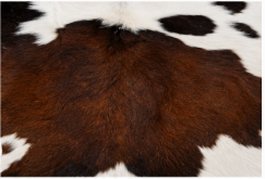 Authentic Tricolor Cowhide Rug -  Black, Brown & White Area Rug